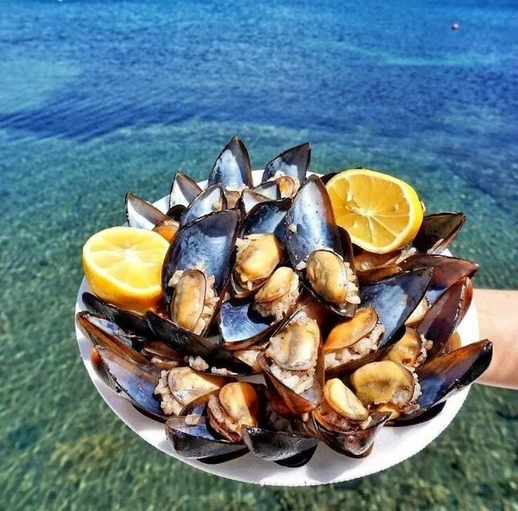 Морепродукты на берегу моря. Мидии рапаны. морепродукты мидии устрицы. мидии мидии морские мидии морские мидии. мидии и устрицы.