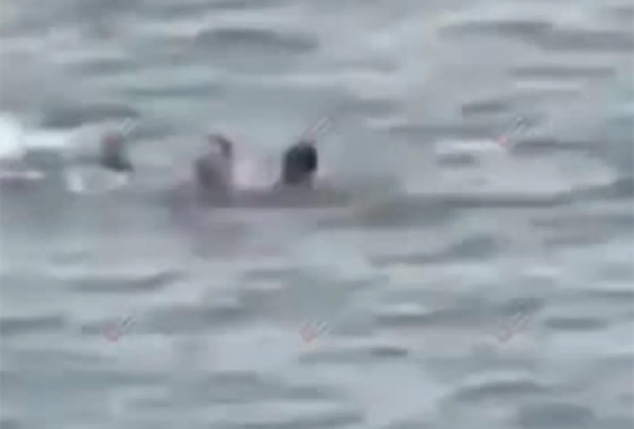 Зыбин достал на берегу моря