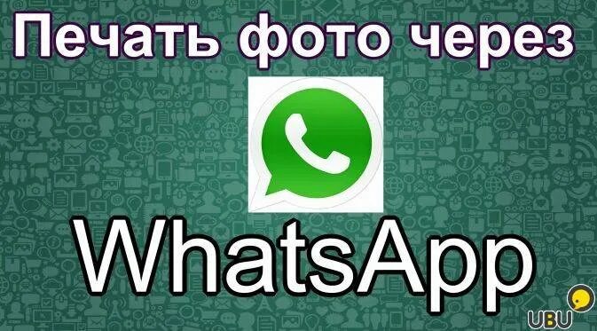 Как отключить ватсап веб на телефоне. Как напечатать с ватсапа. Как распечатать с ватсапа на компьютере. Печать документов из ватсапа. Как распечатать с ватсапа на компьютере.