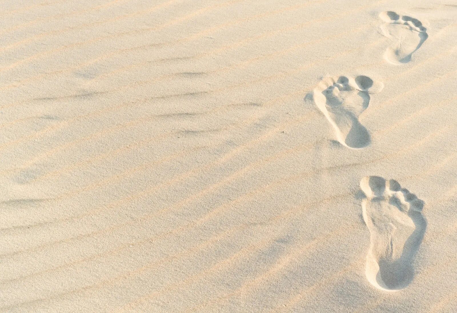 След в истории. Отпечаток ноги на песке. Следы ног на песке. След стопы на песке. Ноги на фоне песка.