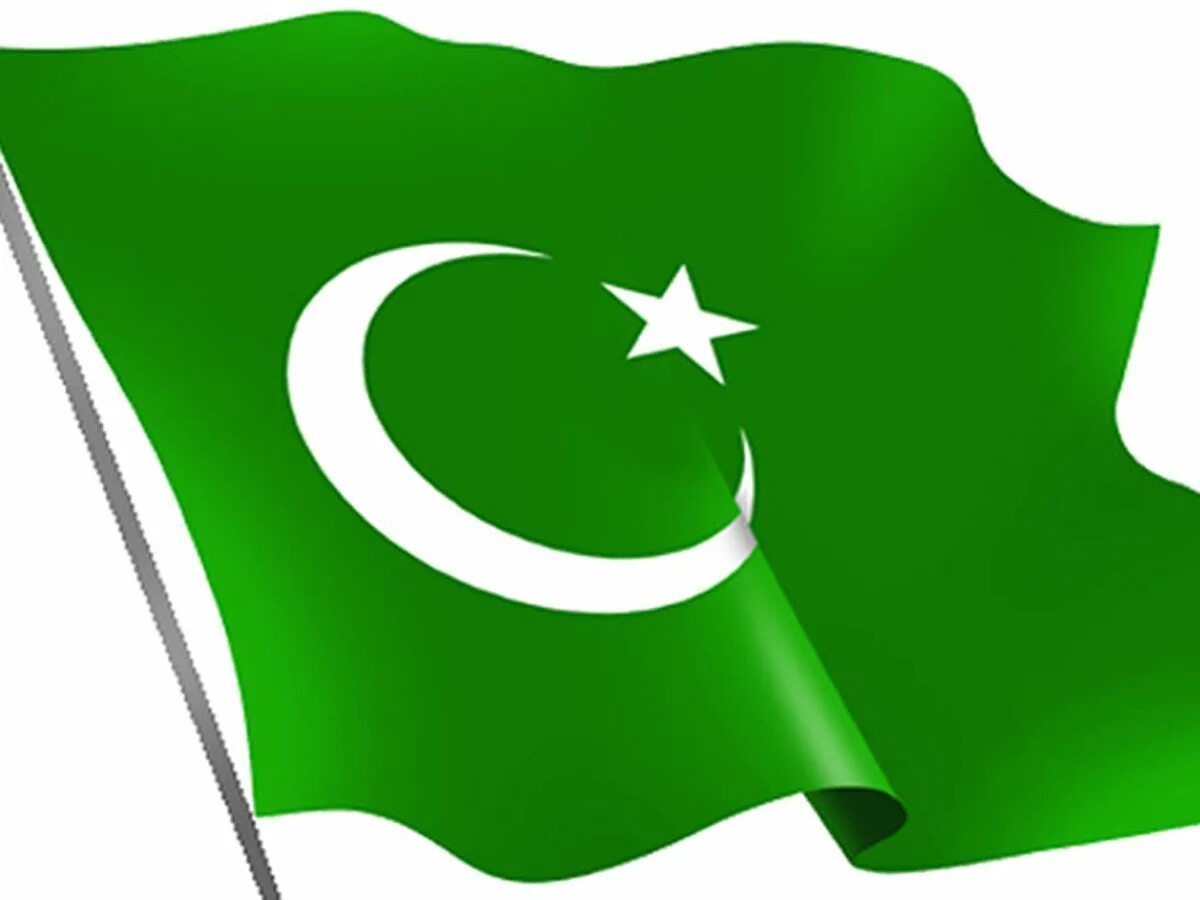 Канадский флаг с канабисом. Зеленое знамя. Зеленый флаг с белым цветком. Флаг португальского макао. Зеленый флаг с белым цветком.