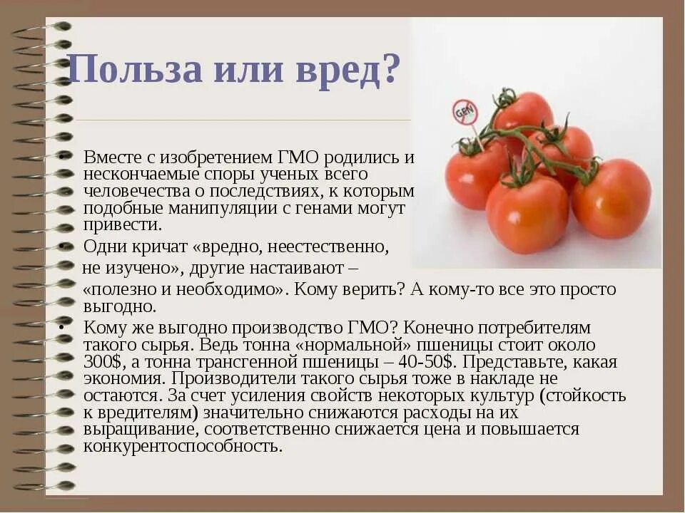 Томаты полезны или вредны. Польза помидоров для организма. Томаты польза и вред для организма человека. ГМО полезны или вредны. Что полезного в помидорах