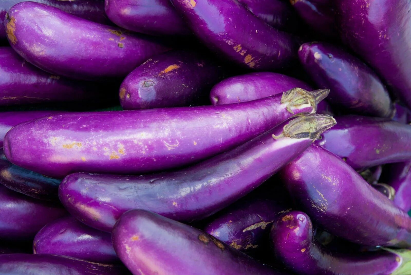 Цветные баклажаны. Long Purple Eggplant. Баклажан Лонг Пюрпл. Баклажан феньюэн пурпурный (Fengyuan Purple). Баклажан Лонг Вайолет.
