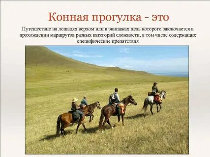 Лошади цель