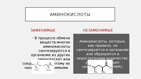 20 заменимых аминокислот