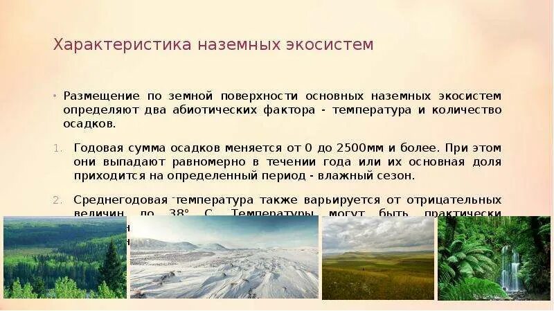 Видовое разнообразие наземной экосистемы. Лесная экосистема. К наземным экосистемам относятся. Экосистема. Типы наземных экосистем.