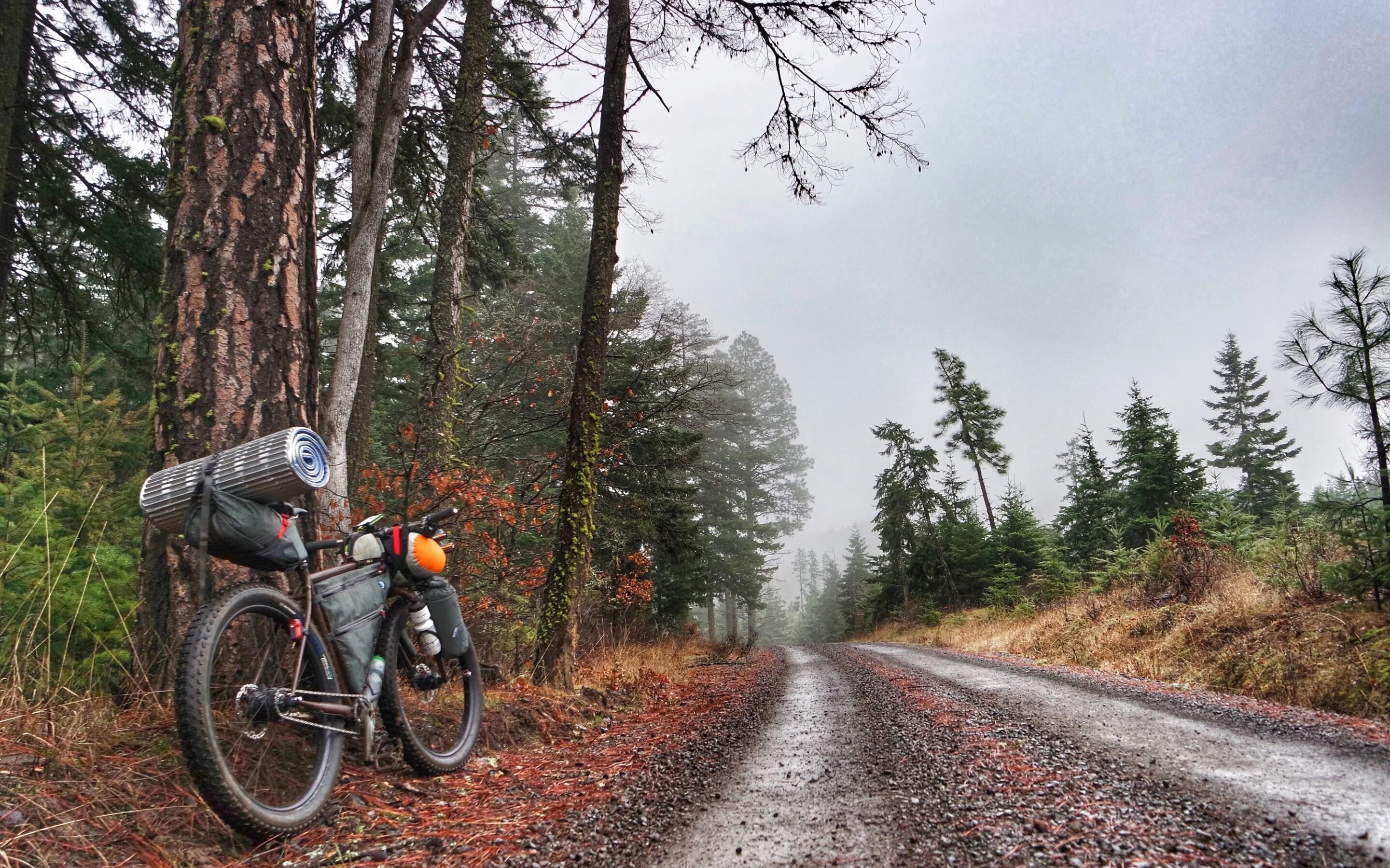 Велосипед на природе. Мотоцикл на дороге. Мотоцикл в лесу. На велосипеде по лесу.
