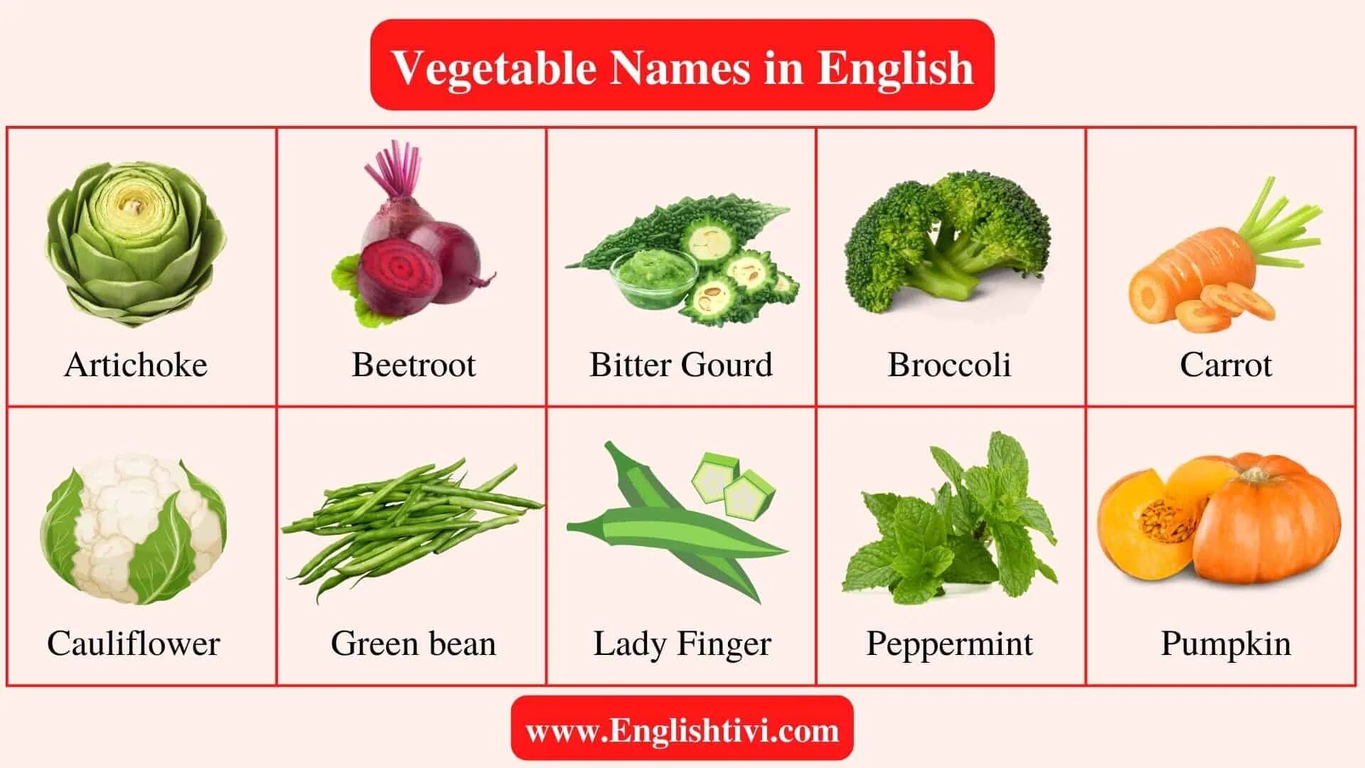 Vegetables на английском. Names of Vegetables in English. Овощи на английском языке. Овощи in English.