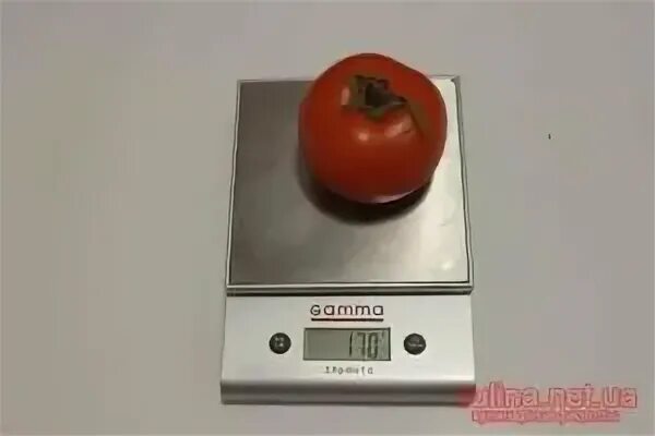 Сколько гр помидор. Вес 1 помидора черри. Помидор черри вес 1 шт. Вес 1 помидорки черри. Вес томата 1 шт.