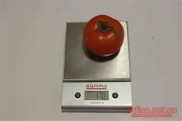 Сколько грамм в помидоре