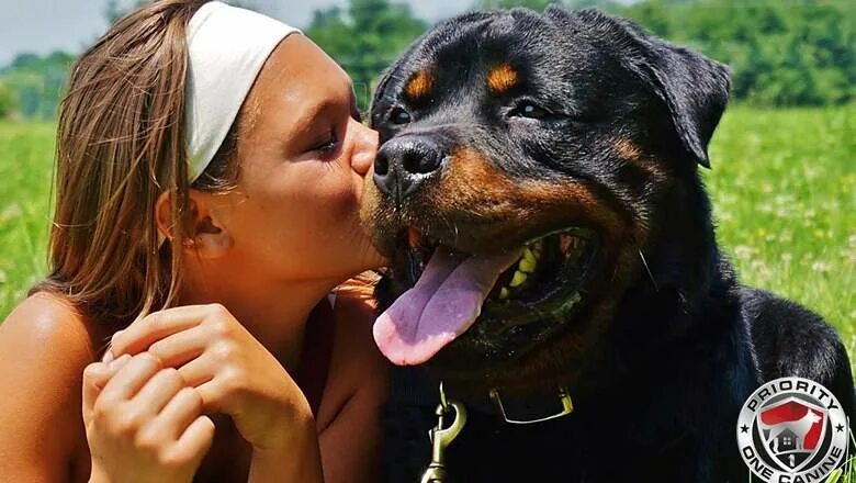 Мужчина с собакой. Собака лучший друг человека. Питбуль с хозяином. Преданность собаки к человеку. Забота о животных.