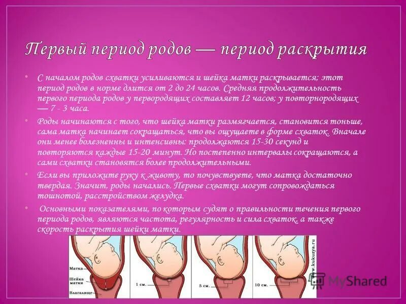 На какой неделе рожать норма. Периоды родов норма. продолжительность периодов родов. продолжительность первого периода родов.