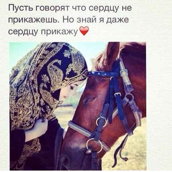 Знаю сердцу не прикажешь. Я даже сердцу прикажу. ты знай я даже сердцу прикажу. говорят что сердцу не прикажешь но знай я даже сердцу прикажу. я даже сердцу прикажу стих.