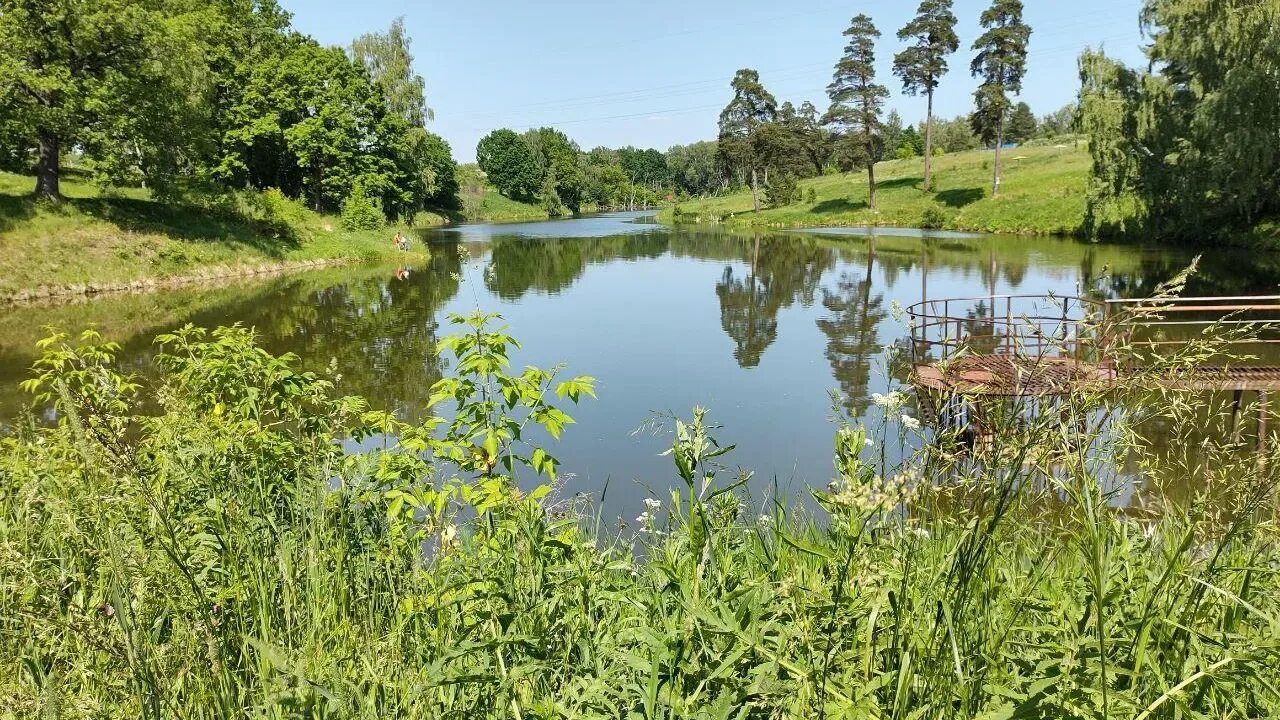 Красивый пруд на даче. Огородный прудик. Водоем на участке. Декоративный водоем. Декоративный водоем на участке.