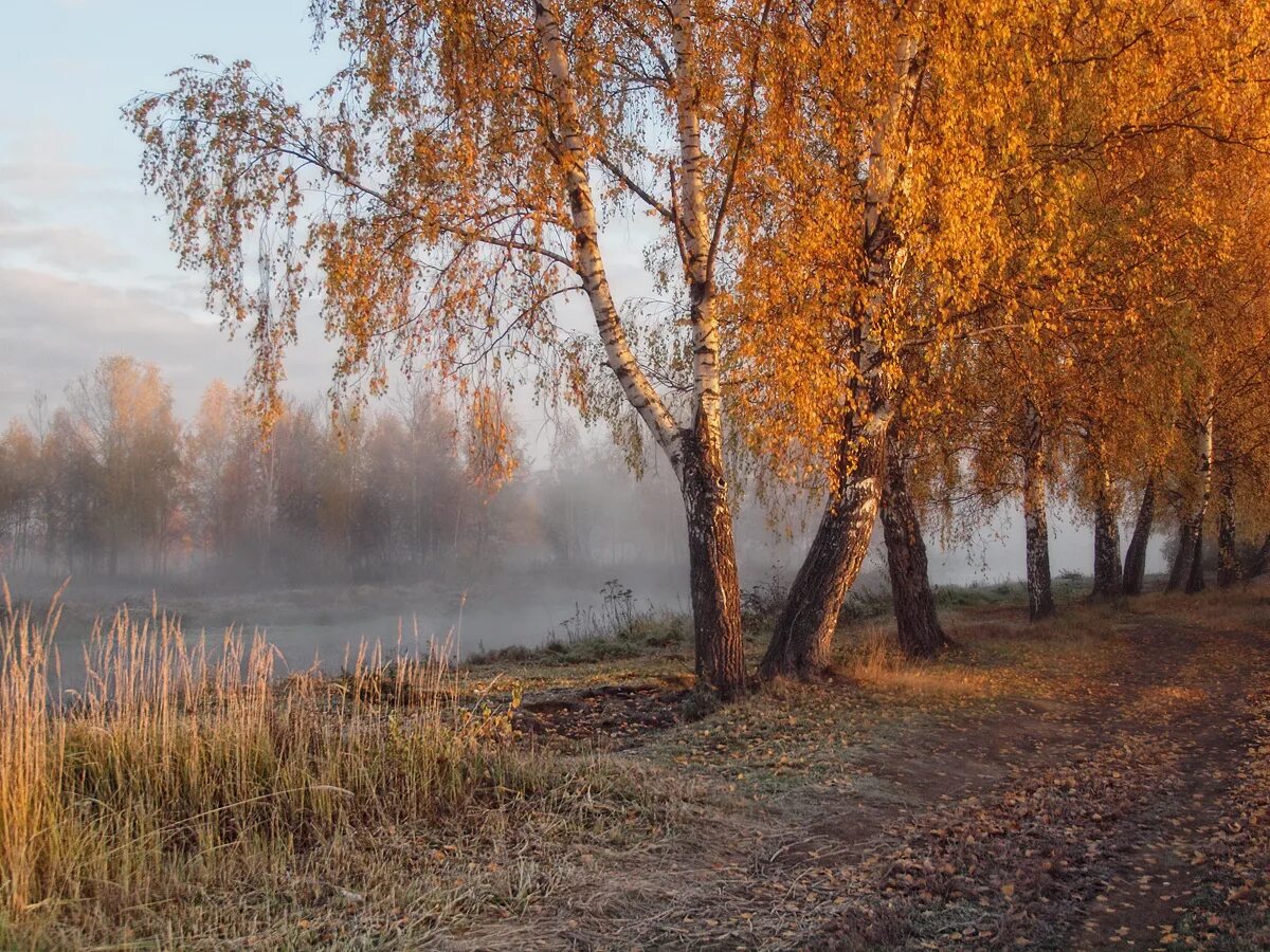 Поздней осени какое число. Поздняя осень. Природа поздняя осень. Солнечная поздняя осень. Поздняя осень, предзимье.