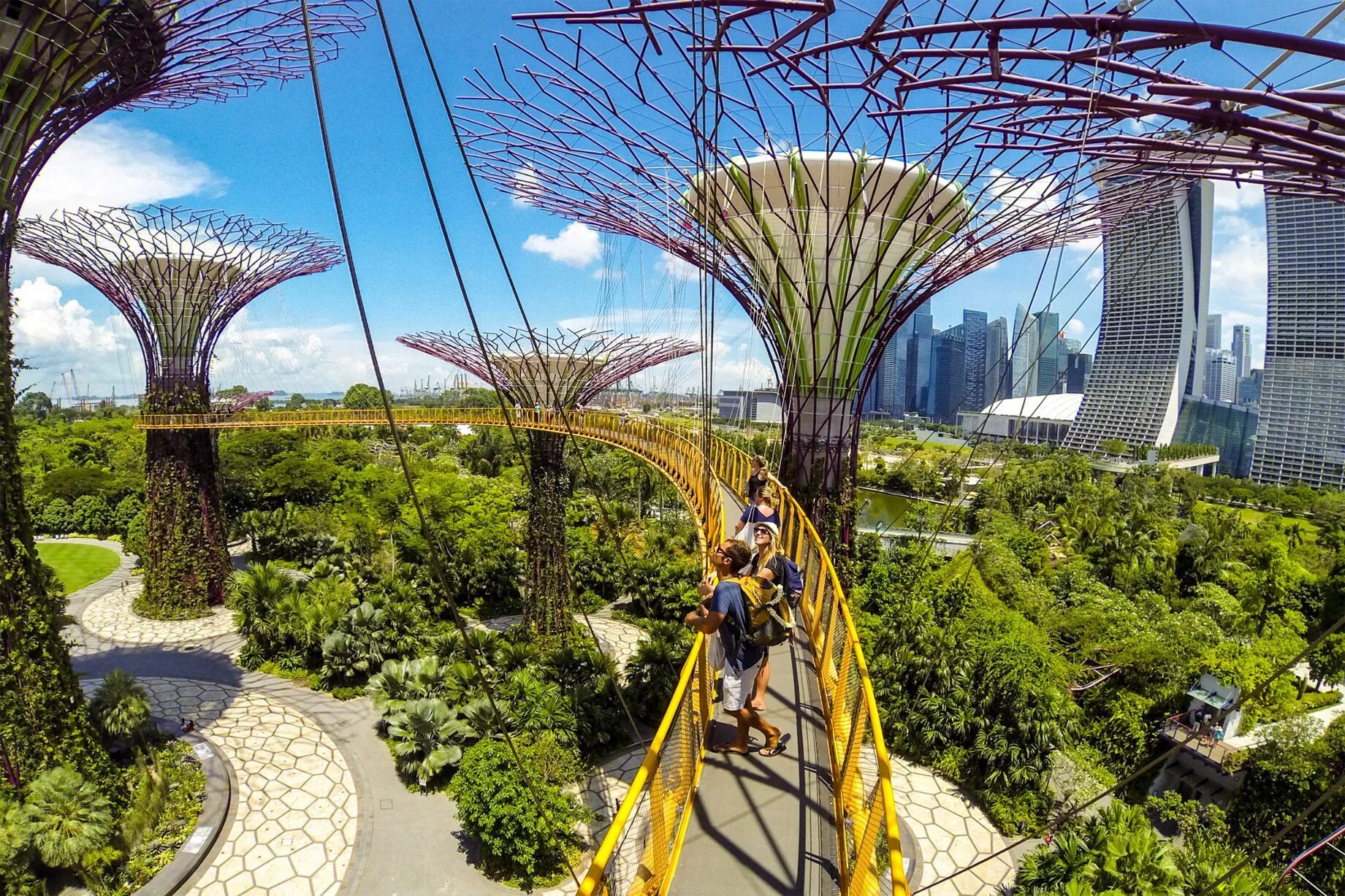 Самые удивительные парки. Сингапур парк сады у залива. Футуристический парк «сады у залива», Сингапур. Роща супердеревьев Сингапур.