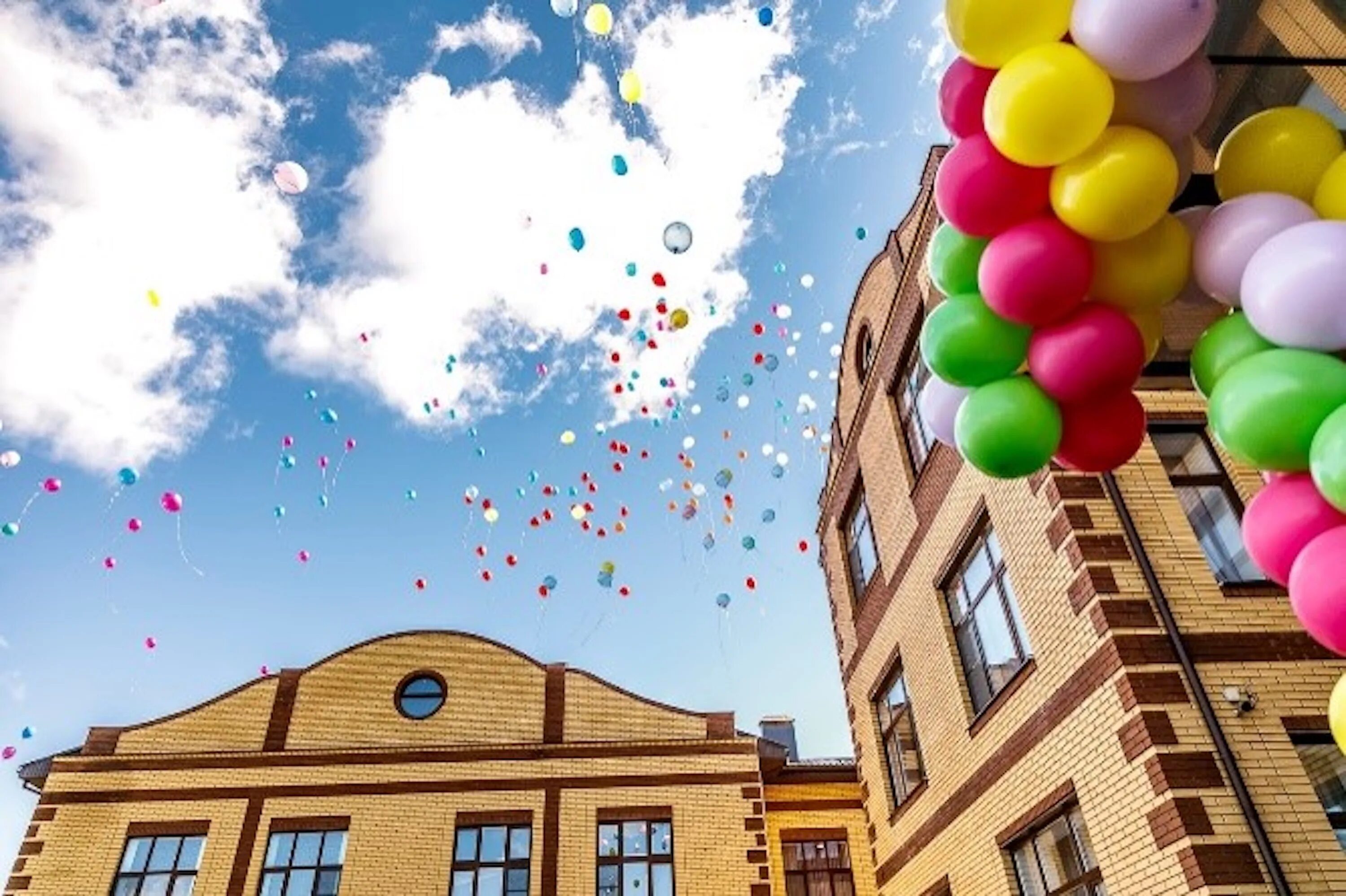 Премьерский лицей Крёкшино. НОЧУ СОШ "премьерский лицей". Частный лицей премьерский в Крекшино. Детский сад премьерский лицей.