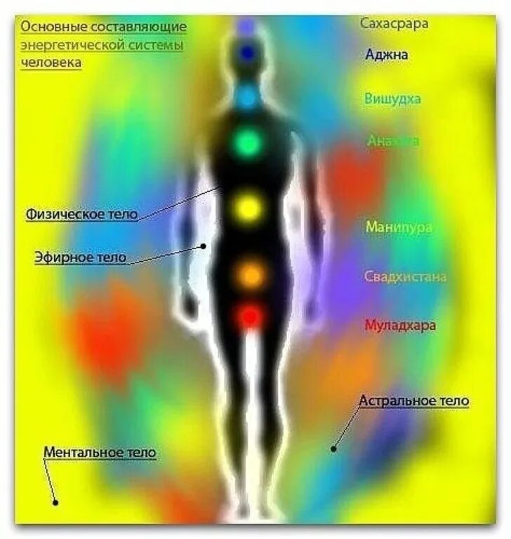 Эфирный это. Эфирное и астральное тело человека. Тонкие энергетические тела человека. Энергетическая структура человека чакры. Энергетические центры человека тонкие тела и физическое тело.