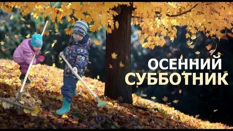 Что поделать осенью на улице