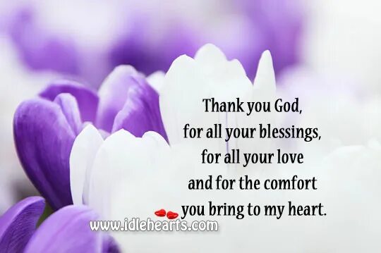 Another day of thanking god. Dear god. Thank you life. You god. I'm god.