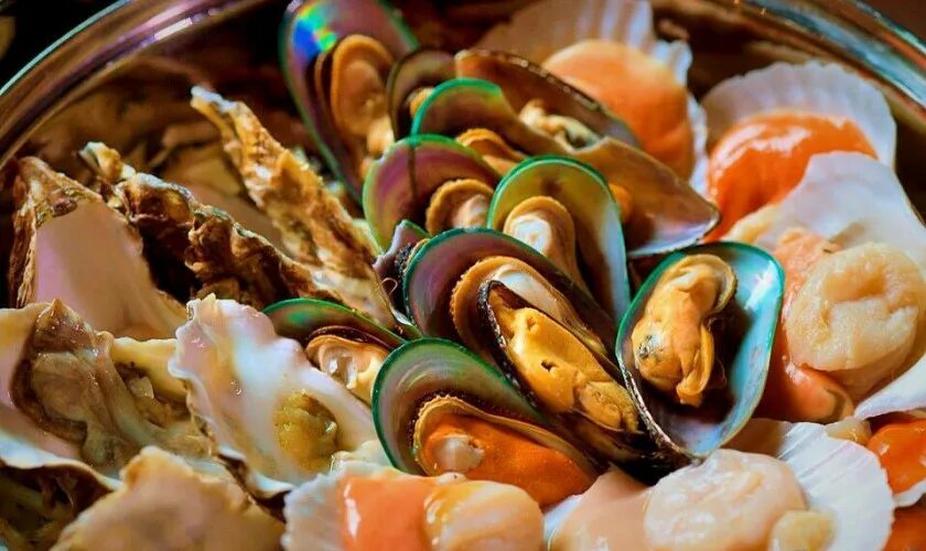 Мидии, морской гребешок, жемчужница. Мидии и устрицы. Морские деликатесы устрицы, мидии. Мидия моллюск. Устрицы рапаны мидии крыма.