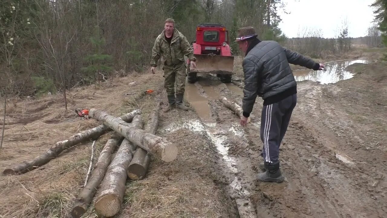 Пилим валежник