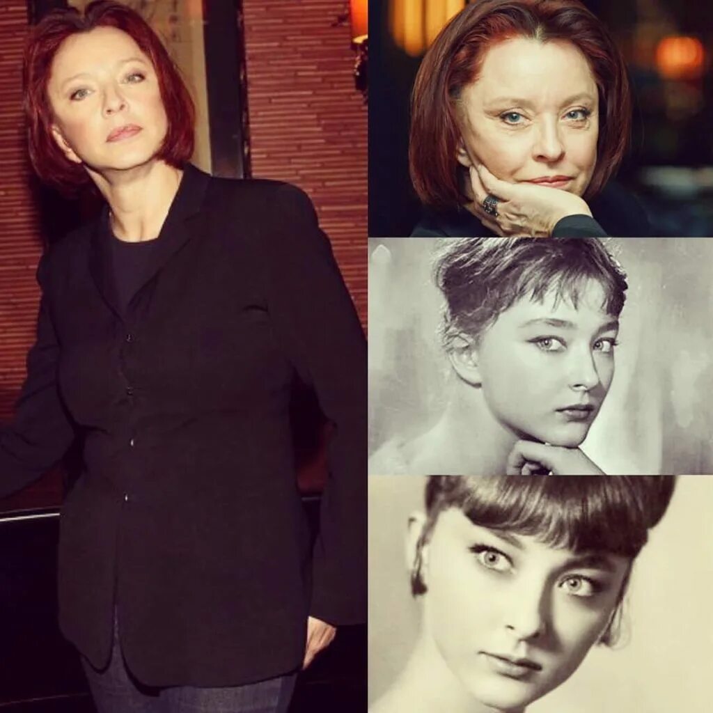 Сын анастасии вертинской и никиты михалкова. Вертинские михалковы. Михалков и вертинская. Вертинские михалковы. Вертинские михалковы.