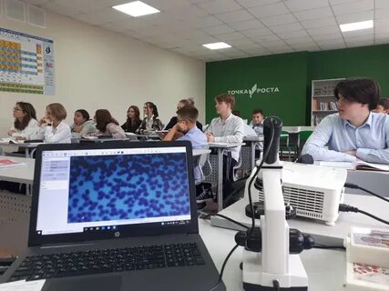 Современное образование москва