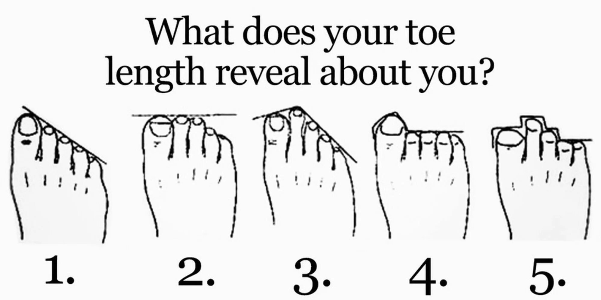 Песня head shoulders knees and toes. Toe перевод с английского на русский язык. Toes перевод. Нога на английском языке. Стопа анатомия английский.