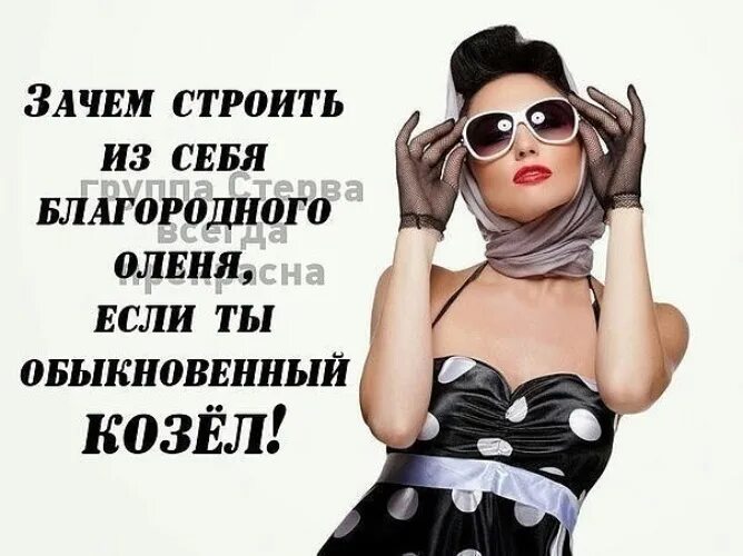 Статус стервы. Дерзкие смешные высказывания. дерзкие высказывания про мужчин. стервозные статусы. дерзкие высказывания женщин.