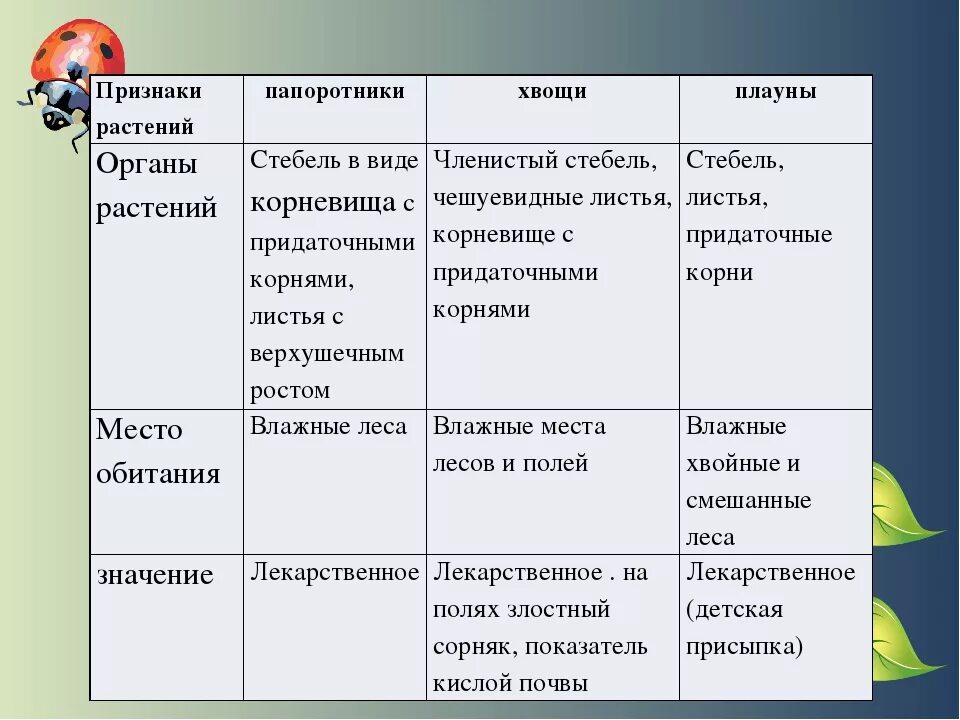 Тест биология мхи. Таблица плауны хвощи папоротники 5 класс биология. Среда обитания плаунов хвощей и папоротников таблица. Сравнительная таблица по биологии папоротники плауны хвощи. Среда обитания папоротников хвощей и плаунов.