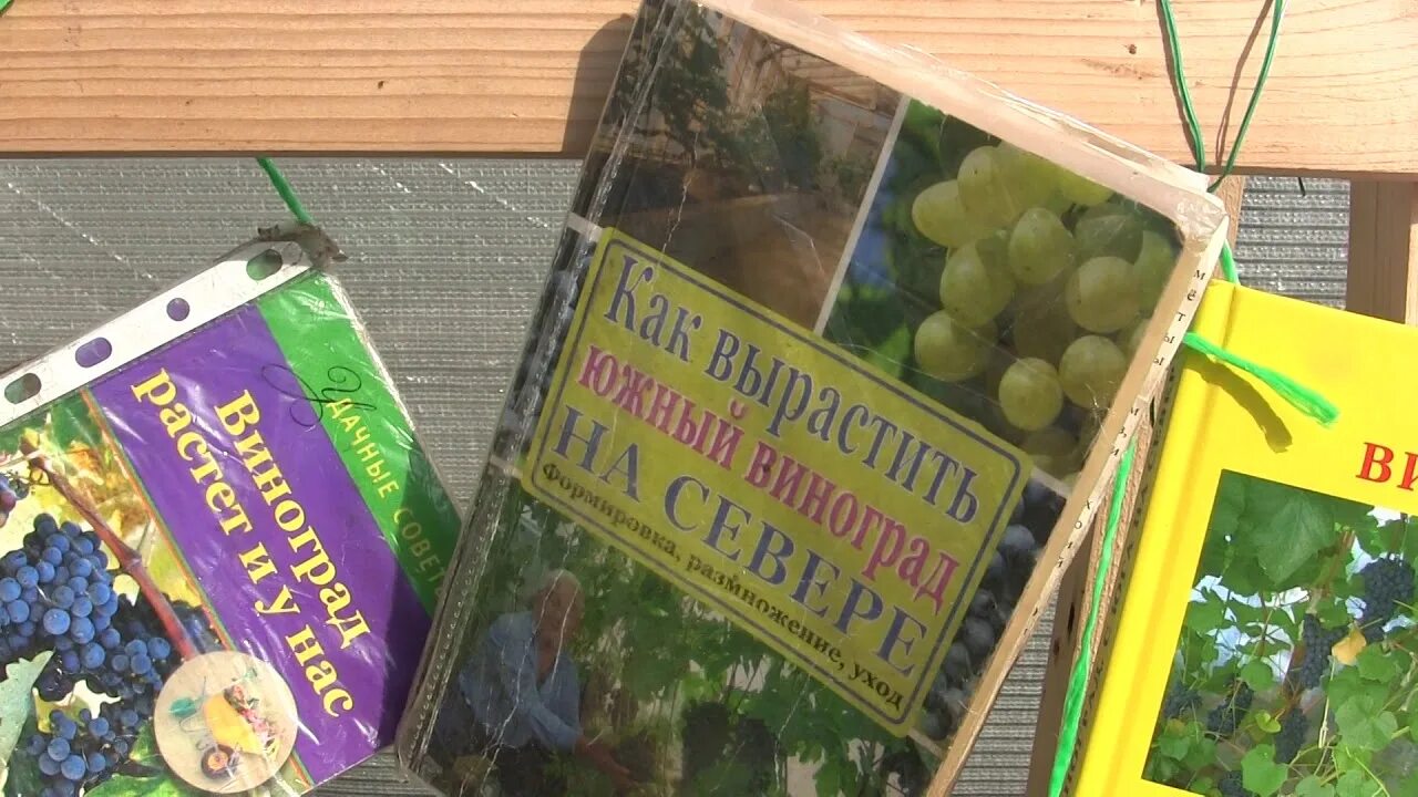 Форум вестник садовода алексеем степановым. Большая энциклопедия виноградаря. Купить книгу в Москве новейшая энциклопедия виноградаря.