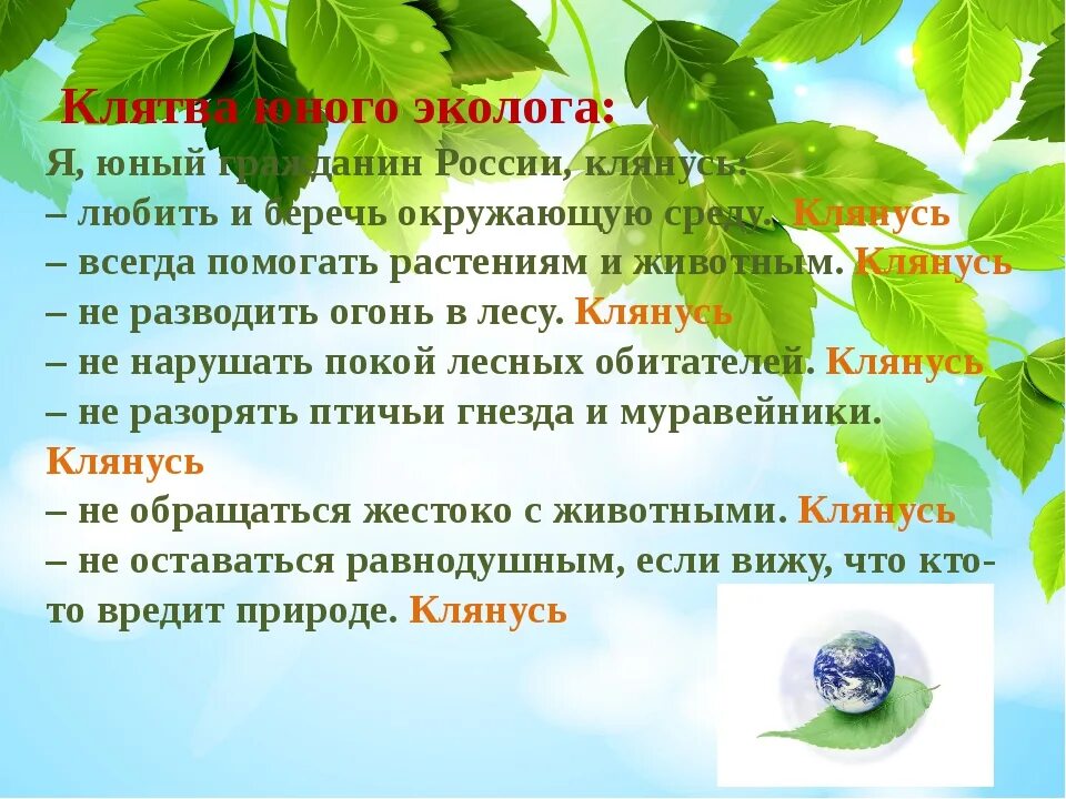 Клятва по экологии для дошкольников. Клятва эколога для детей. Клятва юного эколога для детей. Клятва молодых защитников природы. Клятва эколят молодых защитников природы