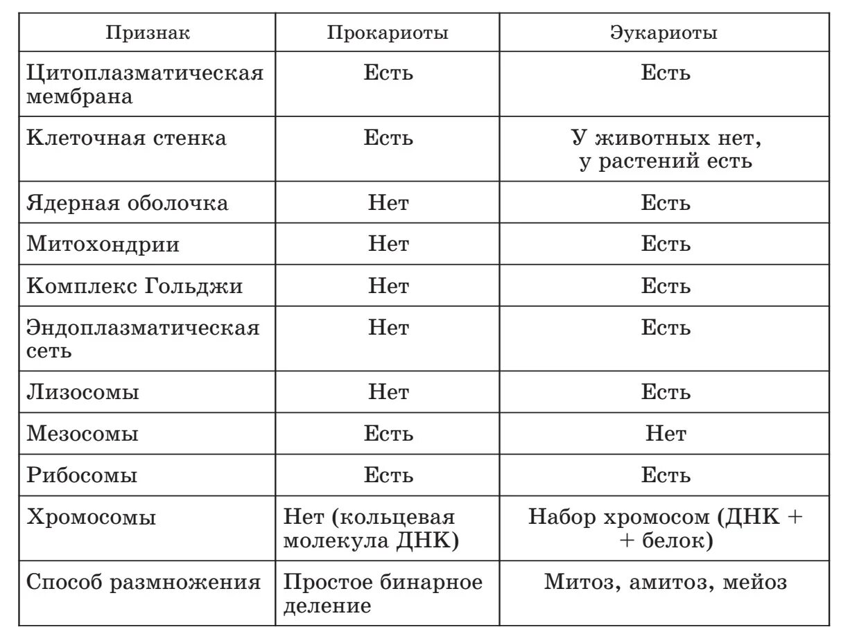 Прокариоты основной признак. Признаки прокариоты и эукариоты таблица. Различия прокариот и эукариот таблица. Строение клеток прокариот и эукариот таблица. Сравнительная характеристика клеток прокариот и эукариот.