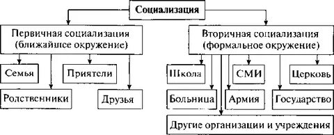 Общая социализация это
