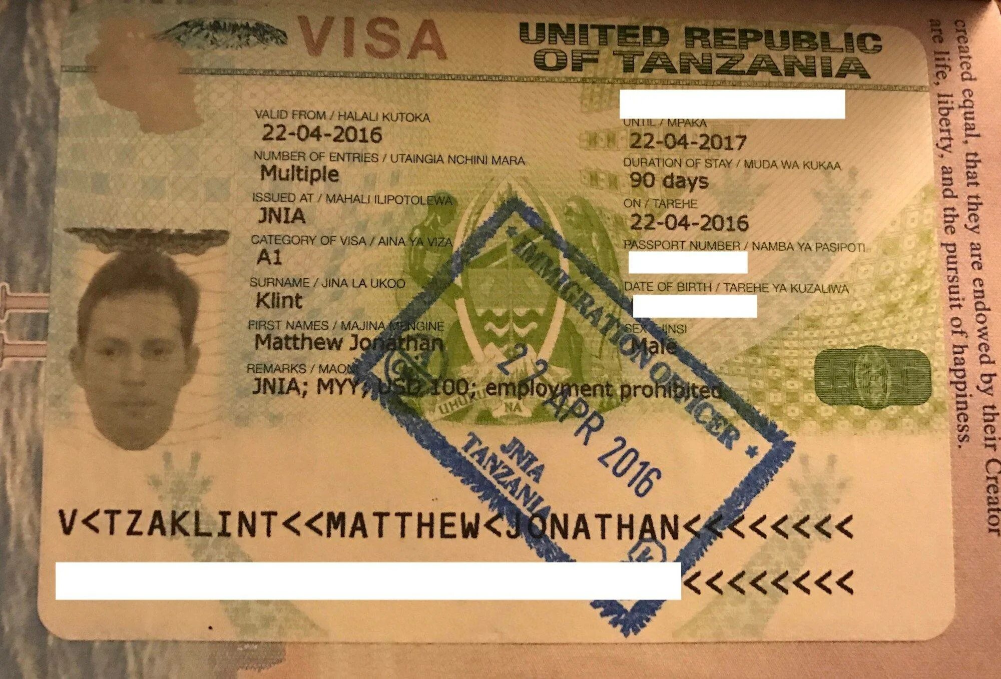 Виза в каир. Танзанийская виза. Виза в Танзанию. Танзания виза для россиян. Занзибар виза.