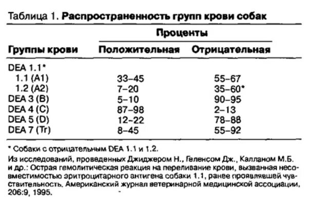 Группы крови у собак. У собак есть группа крови. Группы крови собак таблица. Сколько групп крови у собак. Группа крови у собак