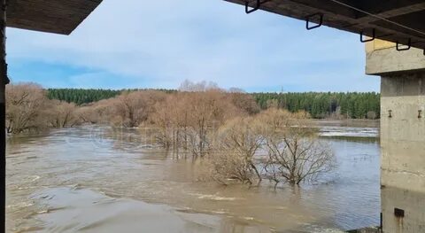 Уровень реки протва в обнинске