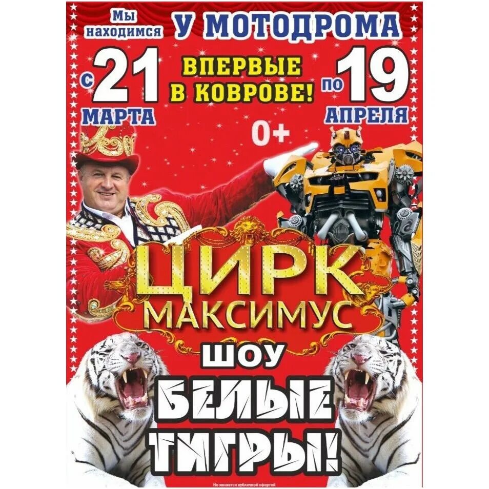 Цирк максимус во владимире 2025. Цирк максимус в коврове 2025. цирк в коврове. максимус ковров. цирк максимус ногинск.
