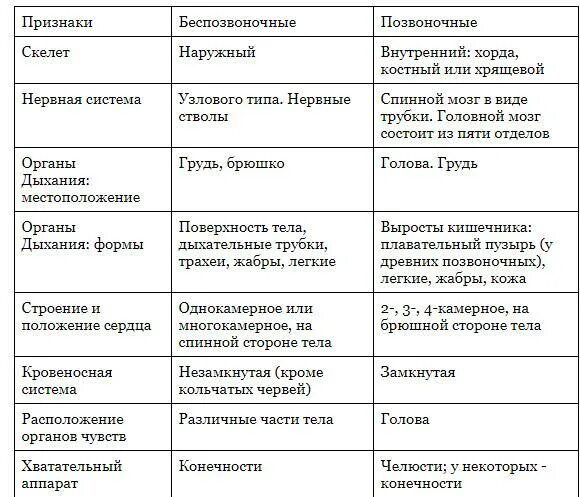 Сравнительная таблица беспозвоночных биология 7 класс. Сравнительная характеристика позвоночных животных таблица. Сравнение позвоночных и беспозвоночных таблица. Таблица общая характеристика позвоночных животных. Класс беспозвоночные таблица