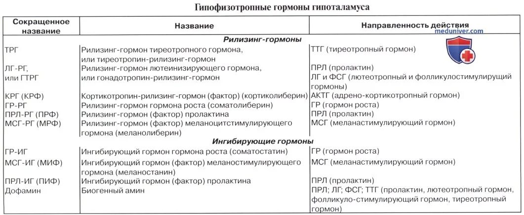 Гормоны гипофиза анализы. Гормоны гипоталамуса таблица. Гормоны гипофиза таблица. Гормоны гипоталамуса и их функции. Гипоталамус гормон роста.