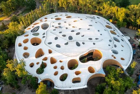 Mushroom building