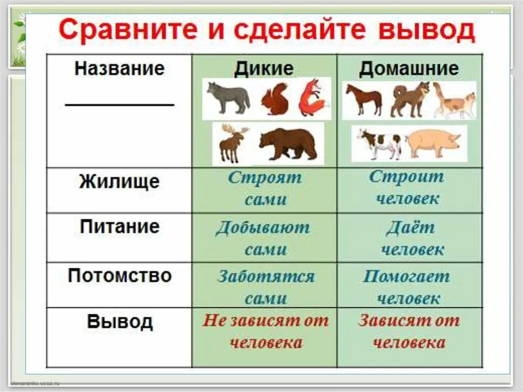 Дикие и домашние животные. Дикие и домашние животные презентация. Различие диких и домашних животных. Дикие и домашние животные таблица