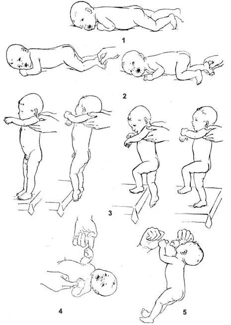 Автоматическая походка новорожденного рефлекс опоры. Рефлекс опора у новорожденных. Рефлекс ползания у новорожденного. Рефлекс ползания Бауэра. Как правильно выкладывать новорожденного на живот