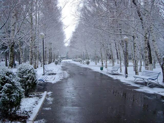 погода г изобильный ставропольский край на неделю