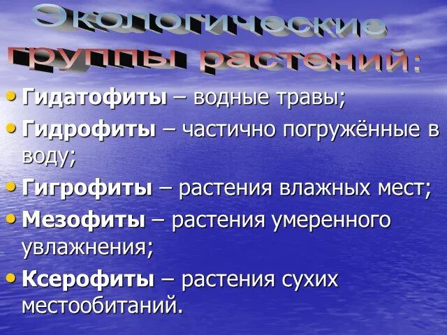 Гидатофиты гидрофиты гигрофиты. Гидрофиты гидатофиты гигрофиты. гидрофиты гигрофиты мезофиты и ксерофиты. экологические группы растений. гидатофиты и гидрофиты таблица.