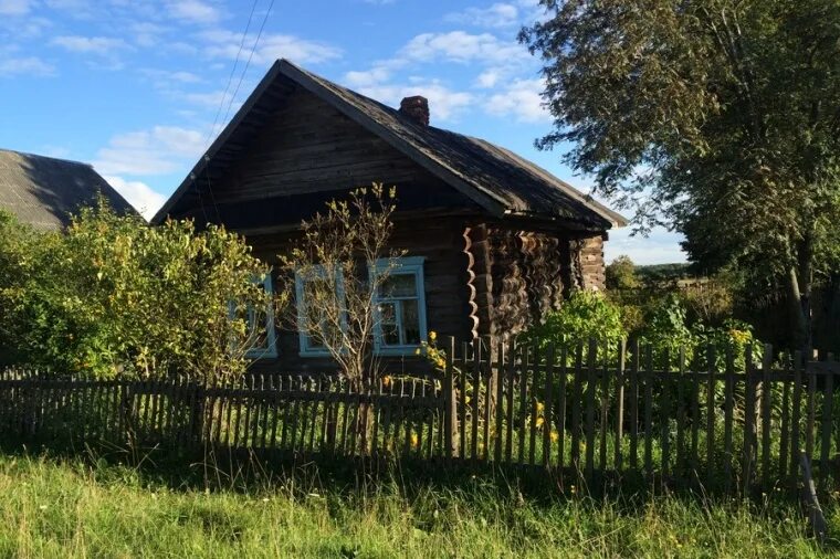 Деревня Бухолово. Вышневолоцкий район Тверской области. - Фотография, путешестви