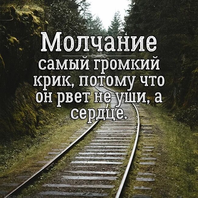 Молчание самый громкий крик. Молчание самый громкий крик потому что он рвет не уши а сердце. Молчание самый громкий крик потому. Молчание громче крика. Кричащее молчание