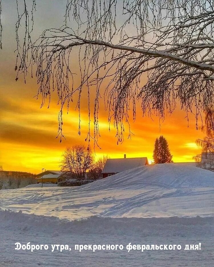 Зимний рассвет. Рассвет зимой. Зимний закат. Зима пейзаж. Утро природа февраль