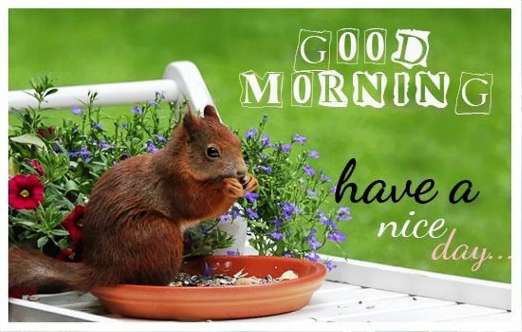 Have a nice way. Good morning have a nice day картинки. have a nice day картинки. have a lovely day картинки. good morning greeting cards.